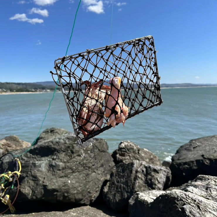Palmyth Castable Crab Trap Hawk Foldable Crabjaw with Crab Gauge and Bait Clip  FN02