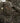 UPF 50+ Camo Hunting Face Mask with Breathable Mesh Neck Gaiter HX5ANG01BD